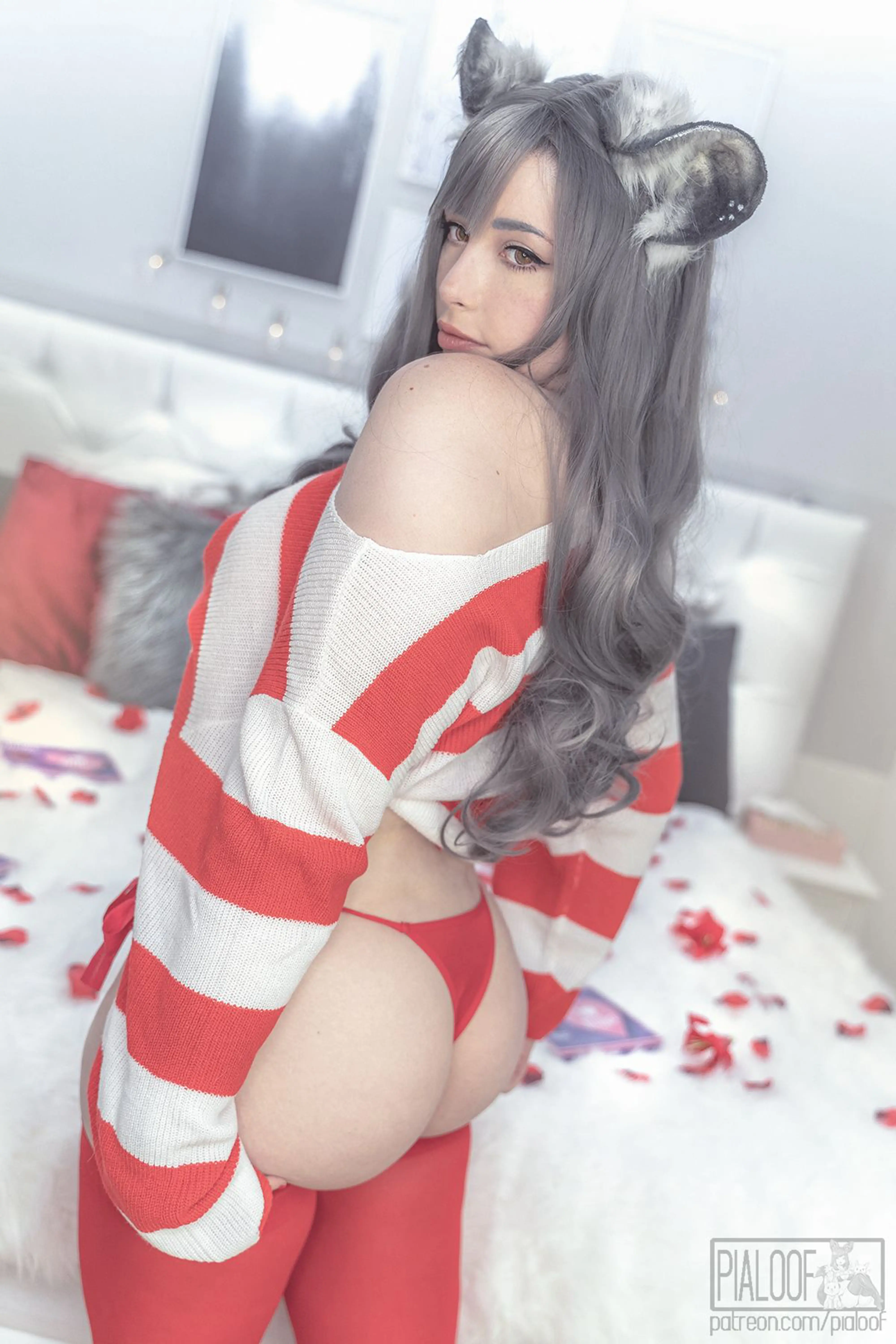 Pialoof - Chinchie [47P282M]