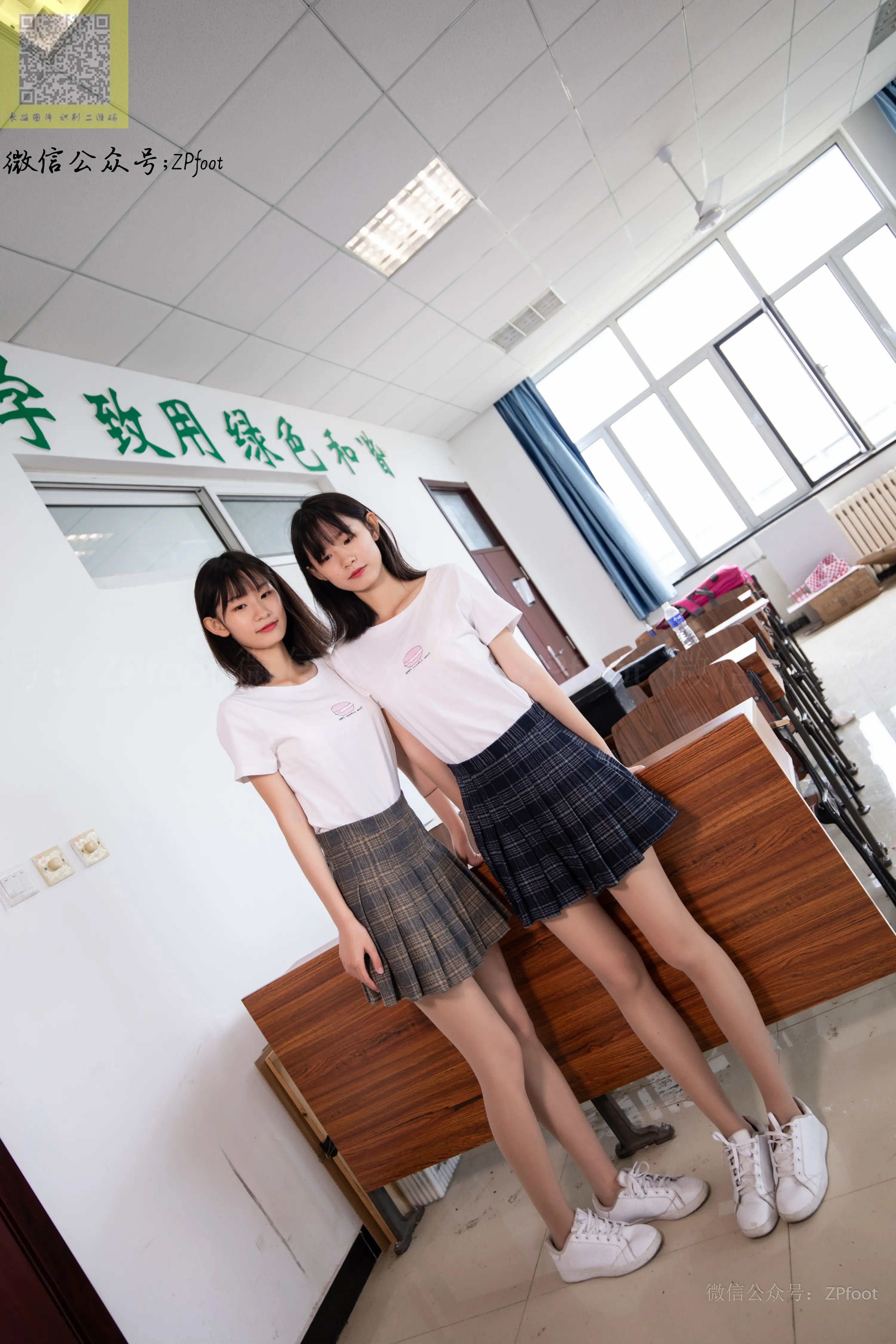 山茶摄影 NO.044